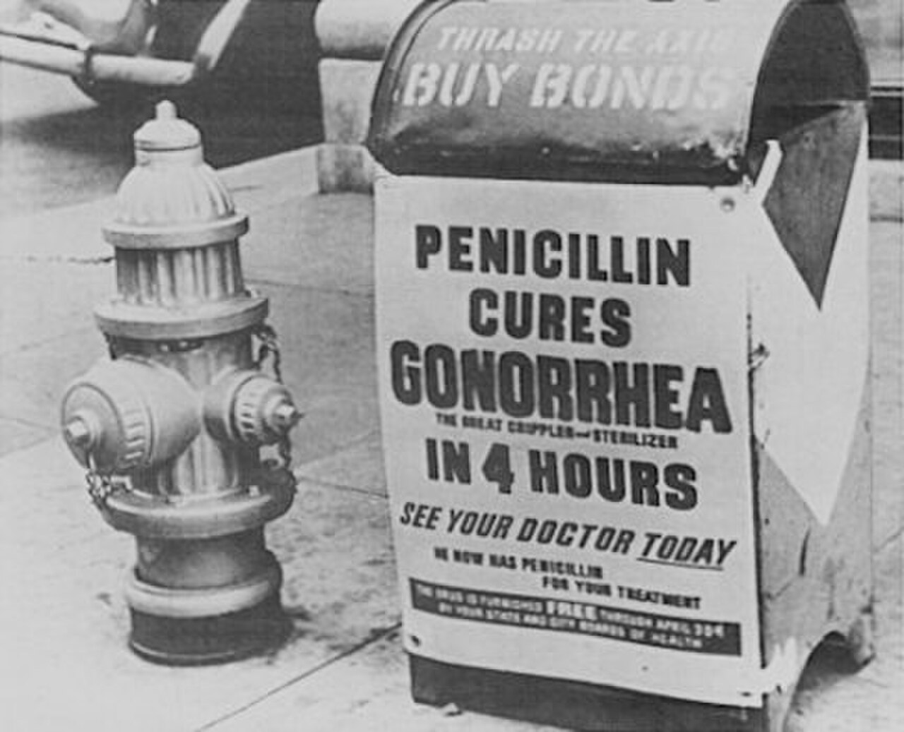A photograph of Fleming's original penicillin culture plate
