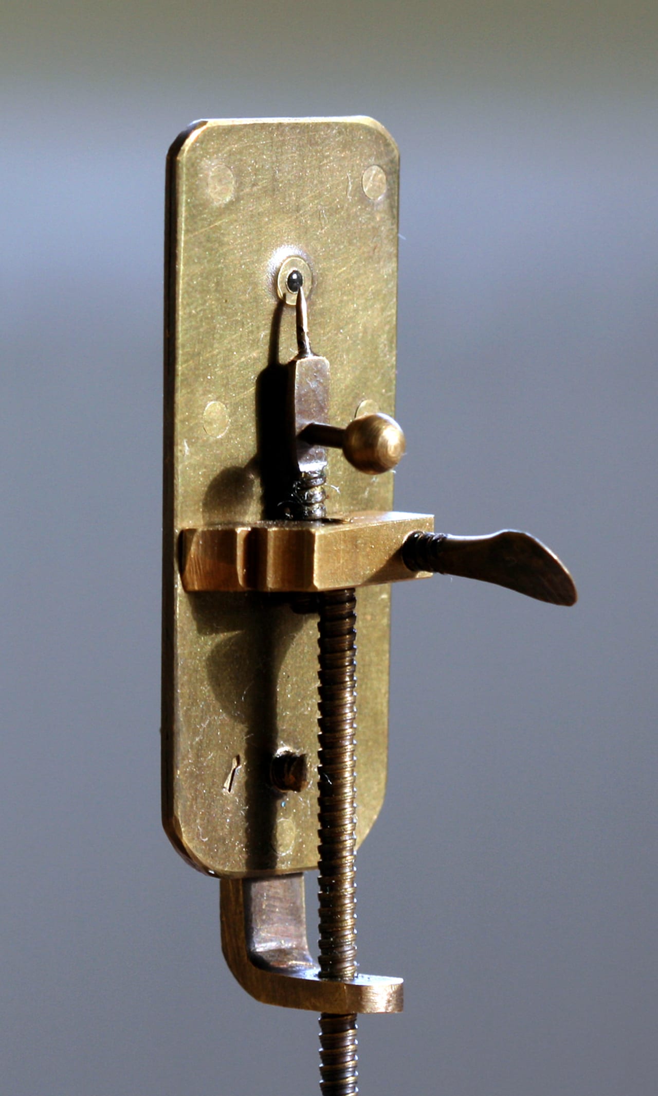 One of Leeuwenhoek's single-lens microscopes