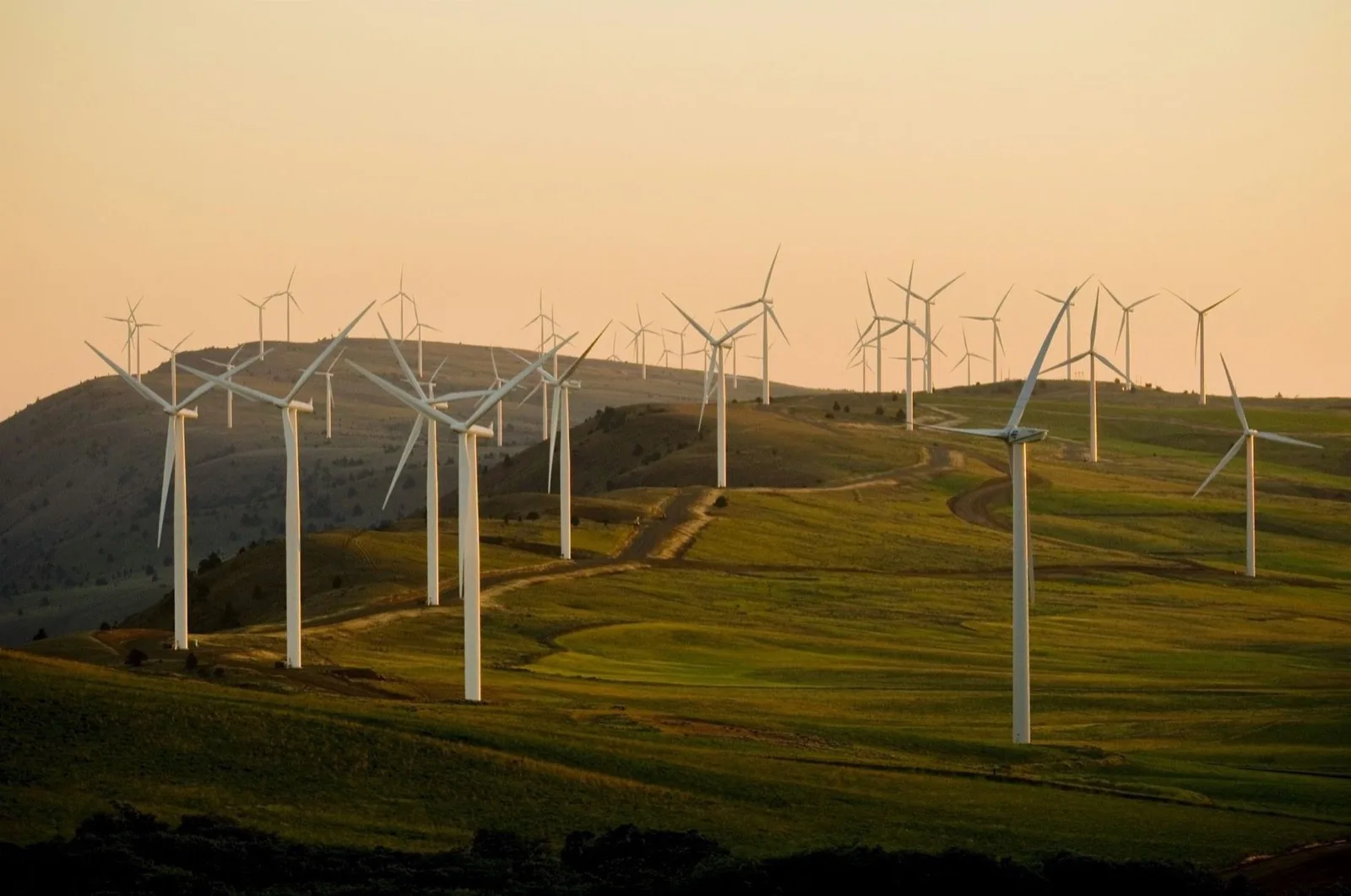 Wind turbines standing across a green field under a pale overcast sky.