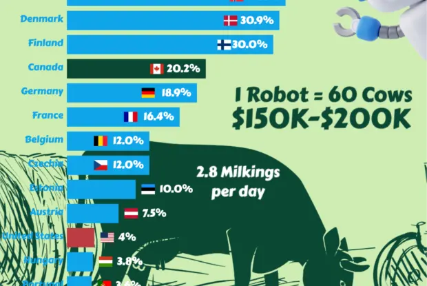 Milking Robots: Automated Milking Systems Are Popular In Europe