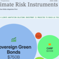 Climate Risk Financial Instruments